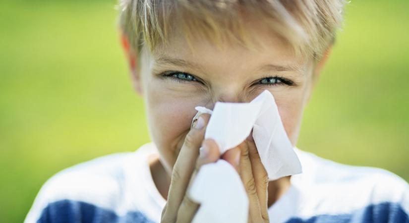 Allergia vagy megfázás? Így különböztetheted meg a tüneteket