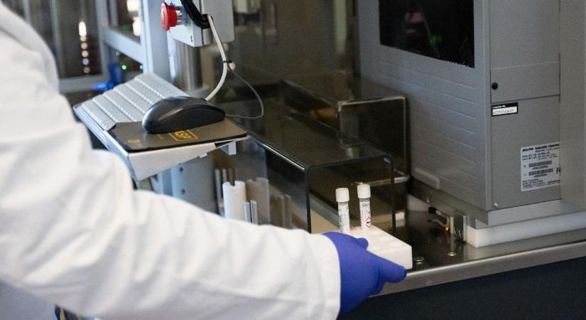 AmCham: értelmes irány az egyetemek modellváltása