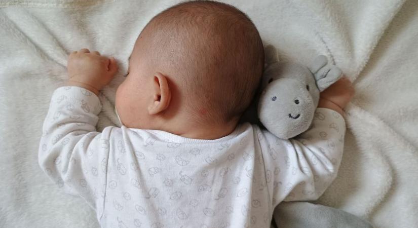 ,,Egy pillanat alatt lettünk egy család, mikor karunkba szoríthattuk örökbefogadott kisfiunk”