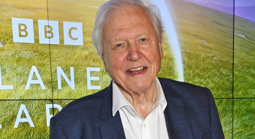 Ő volt David Attenborough élete szerelme: szívszorító, hogy veszítette el a feleségét