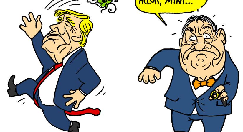 Álljon meg a nászmenet