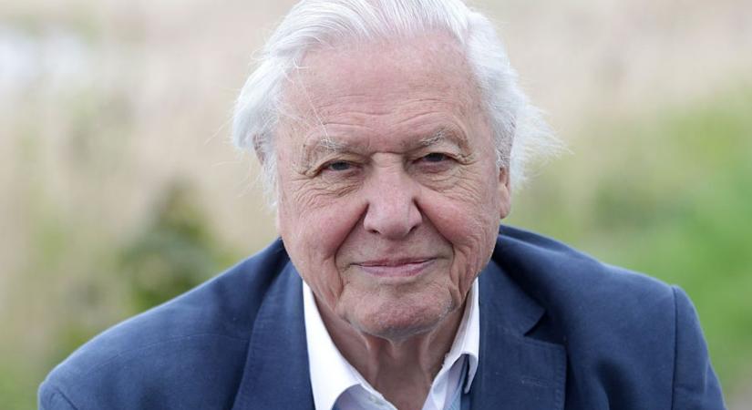 Aki hangot adott a természetnek – ezt üzeni sir David Attenborough a világnak