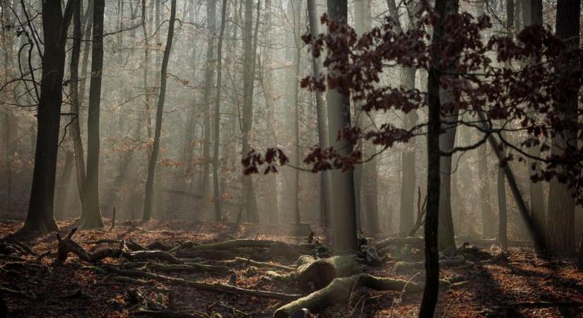 Negatív példa lett Borsod-Abaúj-Zemplén, miattuk vezetjük az országos szégyenlistát