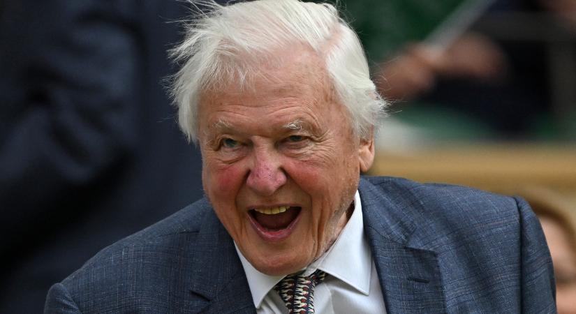 99 dolog, amit a 99 éves David Attenborough-nak köszönhetünk