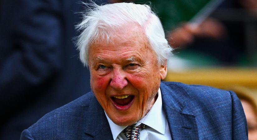 Egy híján száz: David Attenborough 99 éves – szép vagyonra tett szert a természettudománynak köszönhetően