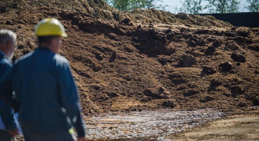 Aranyon ülünk, nem vicc! 750 milliót ér a pécsiek ürüléke!