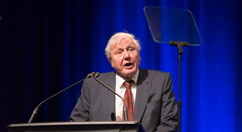 5 érdekesség a születésnapos David Attenborough-ról, amit kevesen tudnak