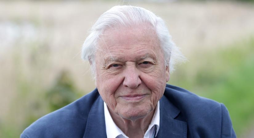 Tragikus módon veszítette el élete szerelmét a 99 éves David Attenborough