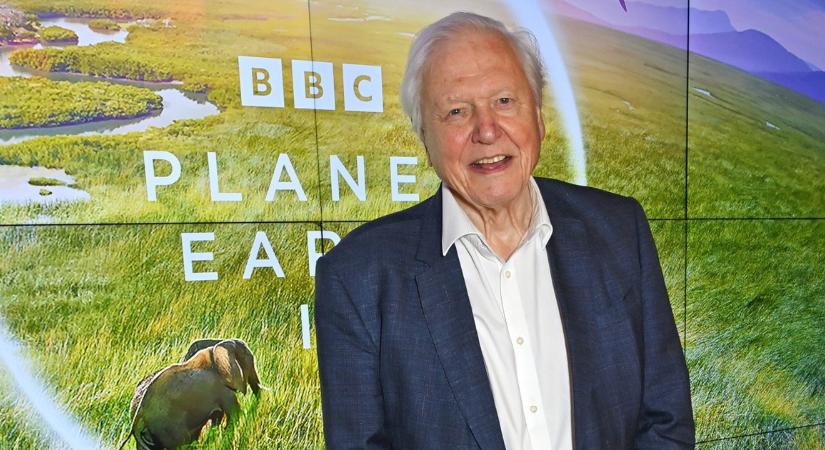 9 meglepő tény a ma 99 éves Sir David Attenborough-ról