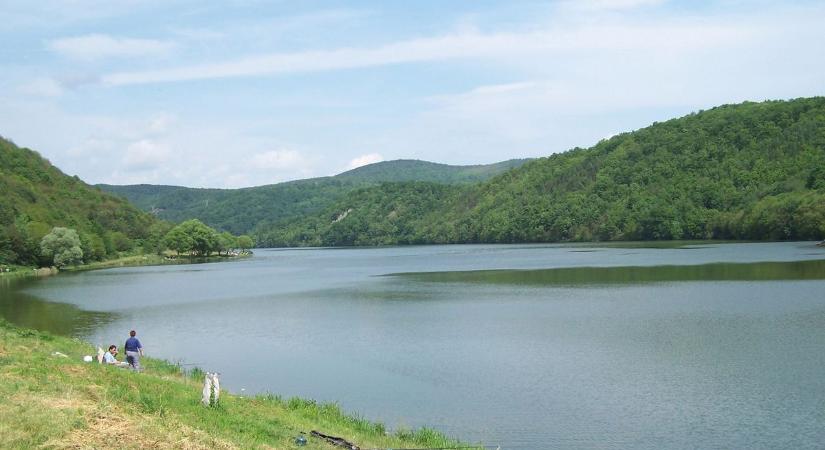 Emberre is veszélyes ragadozó tűnt fel a helyi turistalátványosságnál – hátborzongató pillanat az úton