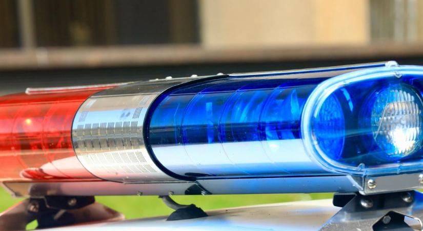 Elképzelhetetlen dolgot láttak a közterület-felügyelők egy udvarban Apátiban, nem is lehetett volna ott
