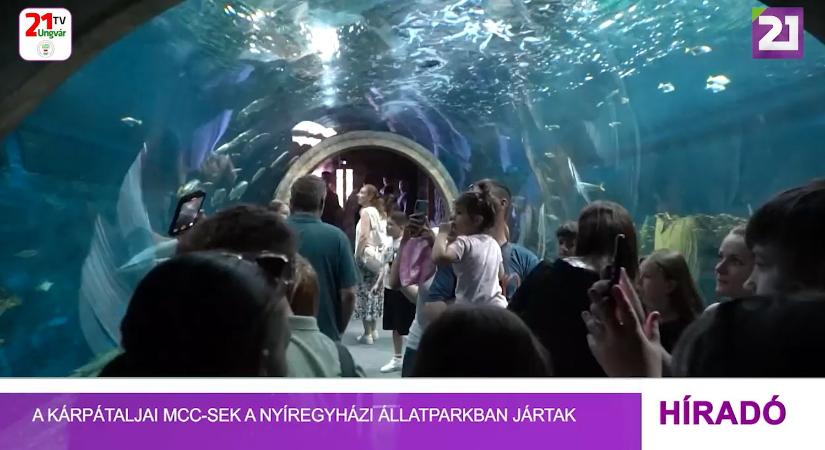A kárpátaljai MCC-sek a Nyíregyházi Állatparkban jártak (videó)