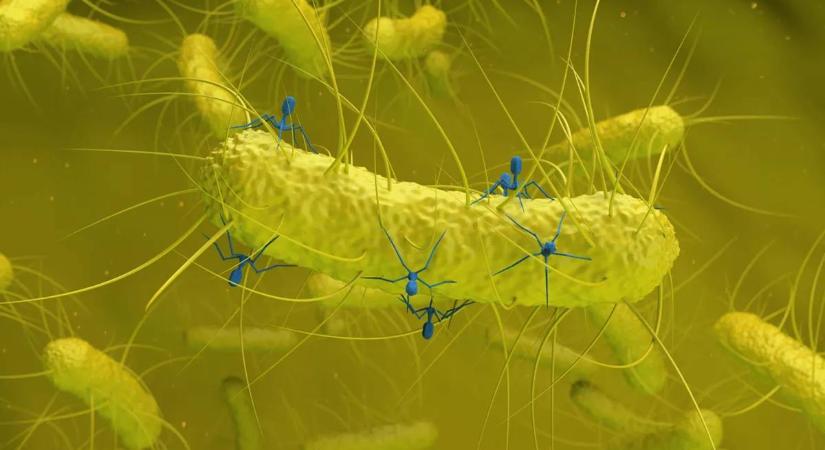 Meg fog lepődni, mi befolyásolhatja az antibiotikumok hatékonyságát