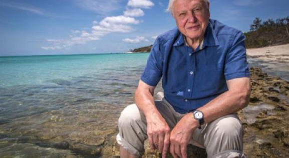 Ma 99 éves David Attenborough: 99 emlékezetes szereplésével köszöntötték fel