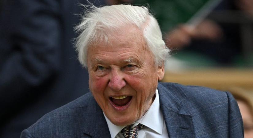 9  9 érdekesség a 99 éves David Attenborough elképesztő életéből
