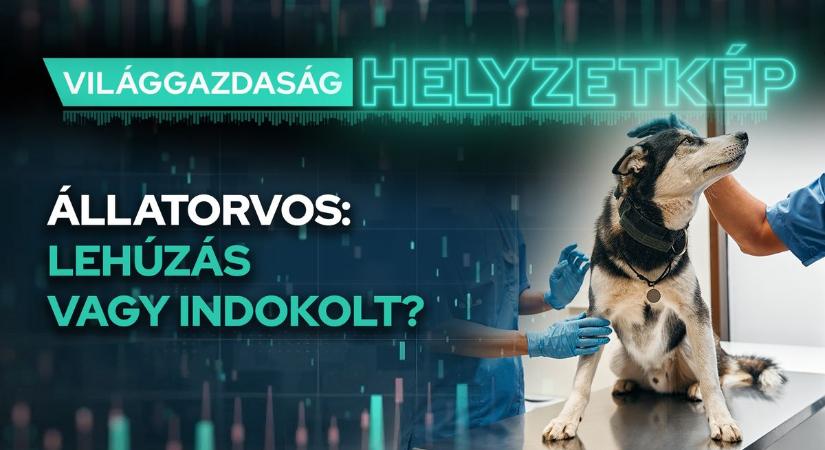 Állatorvos: lehúzás vagy indokolt?