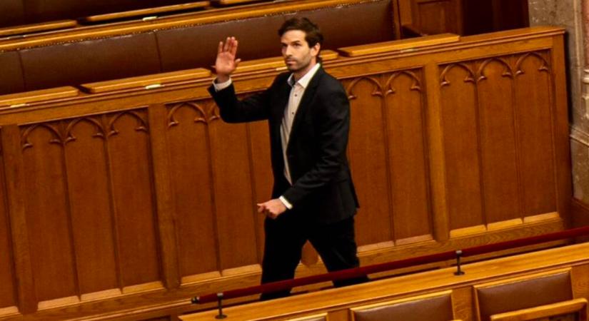 Fekete-Győr a Tiszát segítené, de a Kétfarkú Kutyapártnak használ