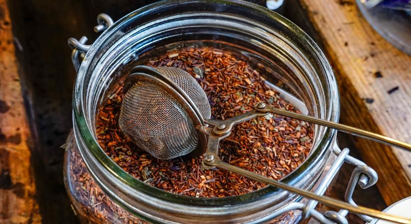 Stresszes vagy? Ez a növény segíthet – és még a bőröd is hidratálja!