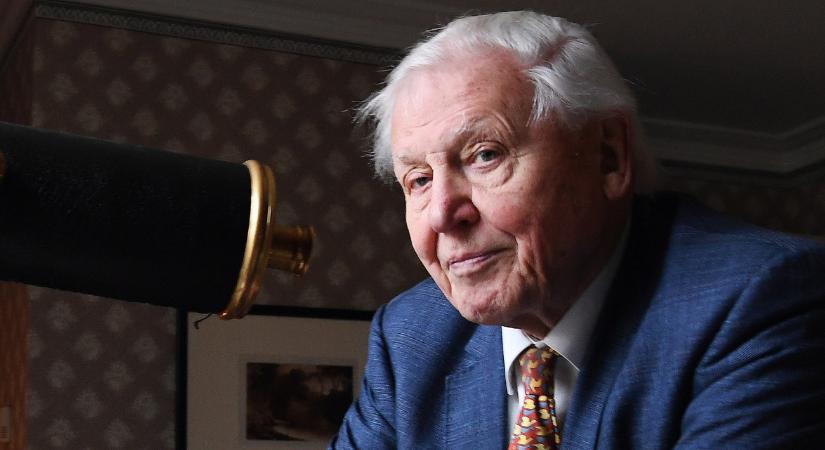 Születésnapján jelenik meg David Attenborough pályafutásának szerinte legfontosabb filmje