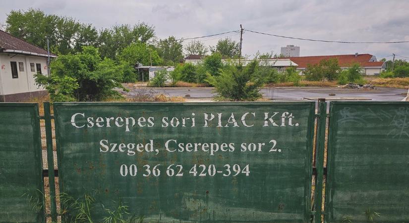 Új pápa a Vatikánban, elhagyatott nyaraló a Tiszánál, piaczárás Szegeden