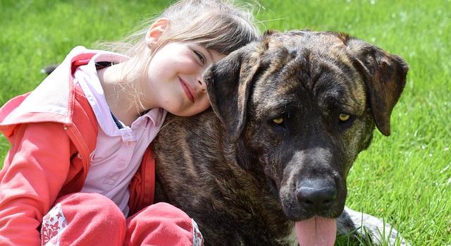 Felelős állattartásra tanítanák a gyerekeket Romániában