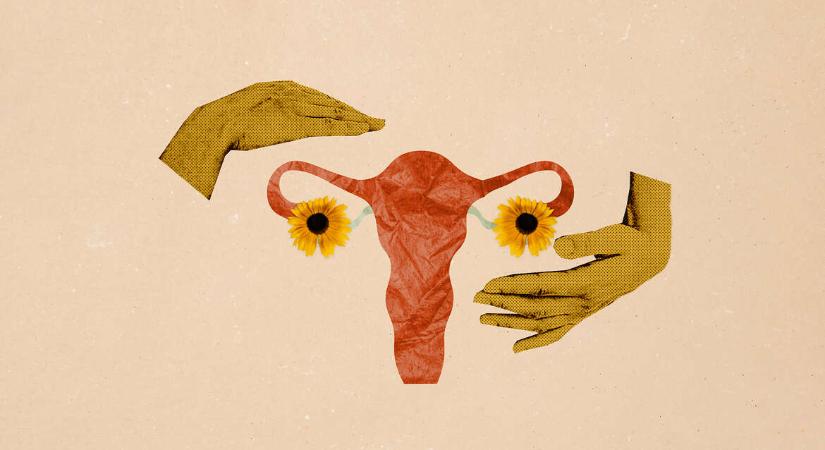Méhtranszplantáció Magyarországon: technikailag lehetséges, etikailag vitatott