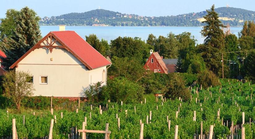 Vállalható kompromisszum a felújítandó ingatlan a saját célra vásárlók körében