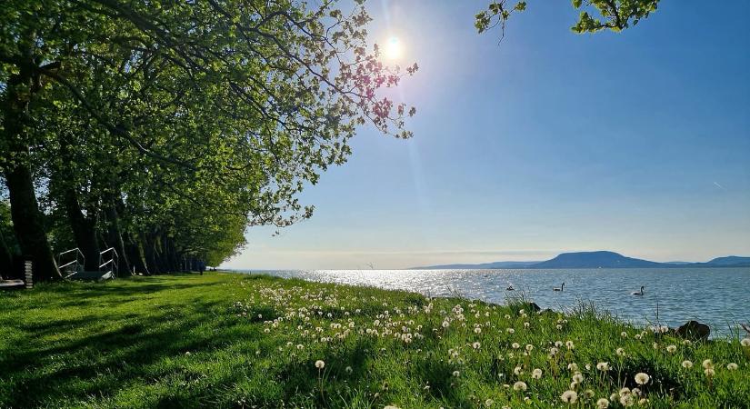 A Balaton zöld kápolnája – Barangolás a balatonboglári Vejtey Ferenc sétányon