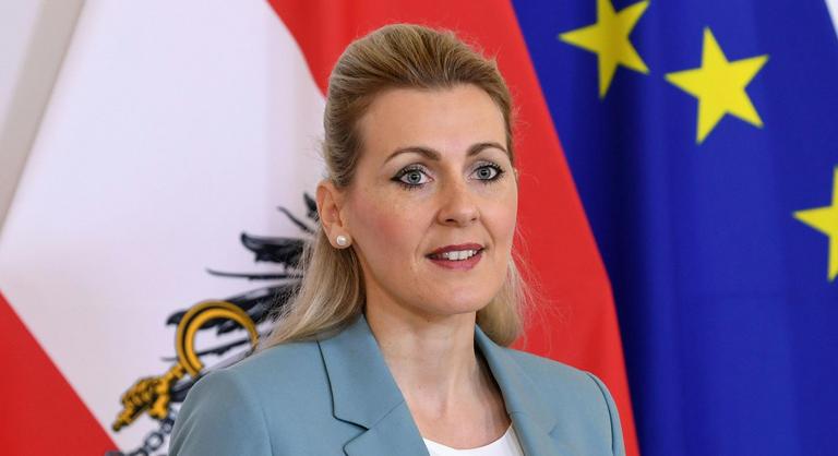 Közgaszdász váltja a plágiumbotrányba belebukott osztrák munkaügyi minisztert