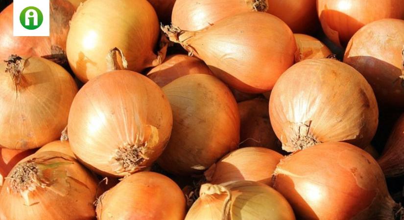 Árrobbanás előtt áll a hazai hagymapiac