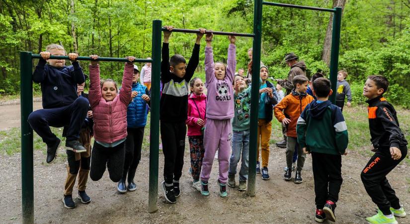 Madarak és fák napja az iskolásoknak a Püspökerdőben – Fotók