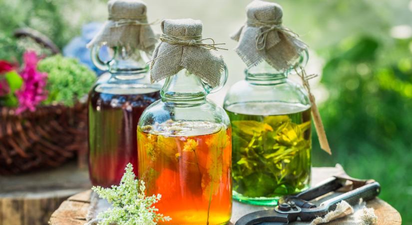 Varázsfőzetek, kitalálós krémek és virágzselék makacs gyerekek immunerősítéséhez