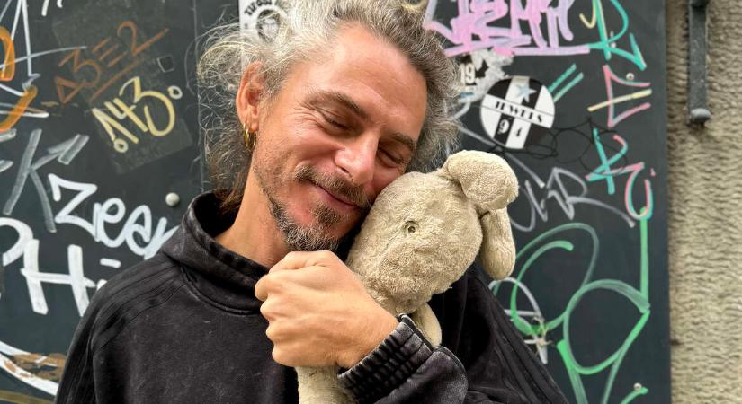 Steiner Kristóf: Hazatérés, gyógyulás, kiállás