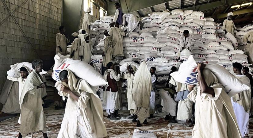 Éhínség árnyéka vetül Afrikára: 52 millió embert fenyeget az élelmiszerválság