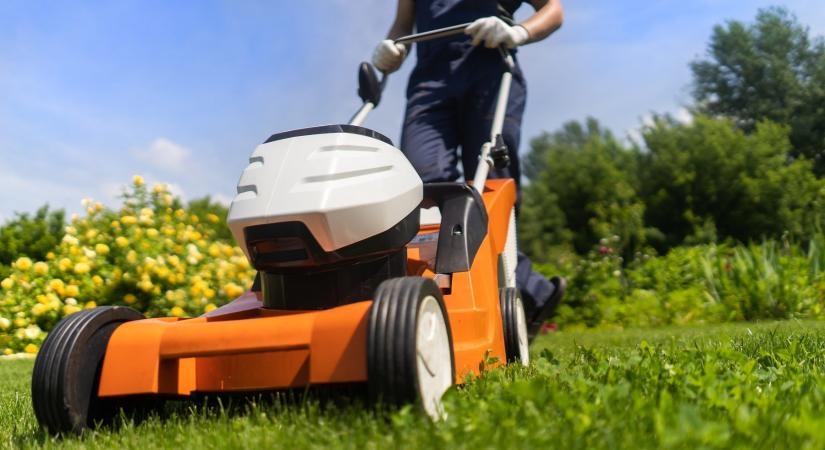 Így lesz tökéletes a gyep: tippek és trükkök szakértőktől