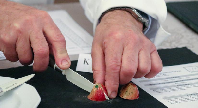 Az Év Pálinkás Bonbonja verseny zsűrizése zajlott Gyulán