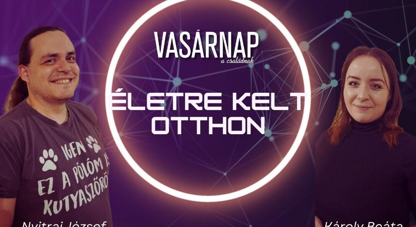 Életre kelt otthon!? Igen, létezik! (Okosotthon a kisvárosban)