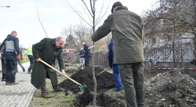 Közös felelősségünk a madarak és a fák megóvása