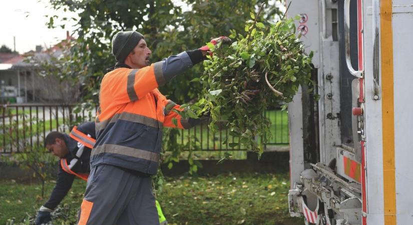 Mindenki csinálja, pedig rég betiltották: belerokkansz, úgy megbüntethetnek ezért a kerti munkáért