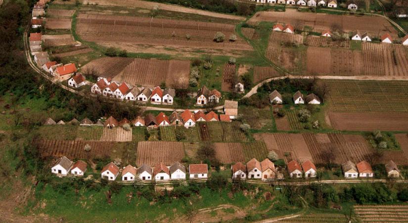 1300 pince, amelyben száz éve még a legfűszeresebb magyar bor termett