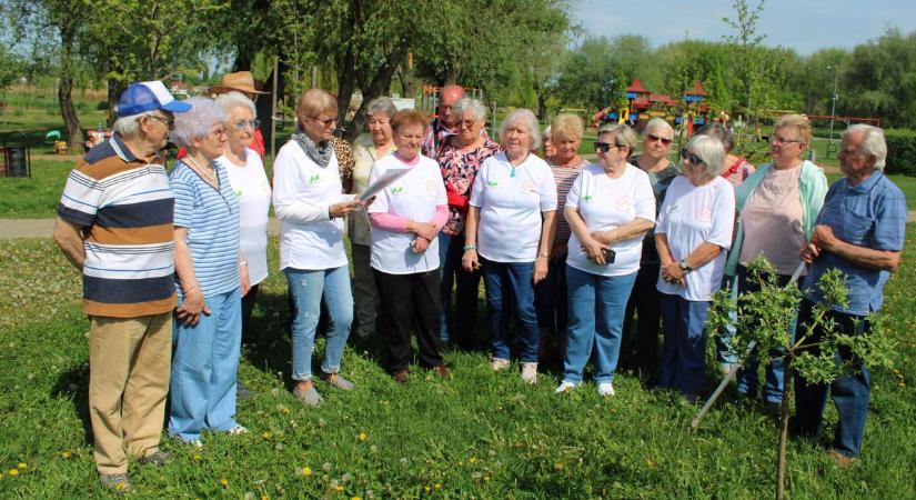 Nem könnyű kirángatni a nyugdíjasokat a fotelből, de nekik sikerült: elárulják a titkot