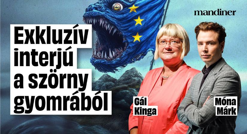 Brüsszeli képmutatás : „Manfred Weberék átverik a választóikat” – Így küzdenek a Patrióták (VIDEÓ)