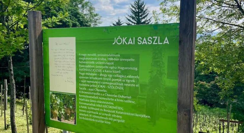 Megújult a Jókai-kert és a Steindl-villa, megnyílt a Madárország Látogatóközpont