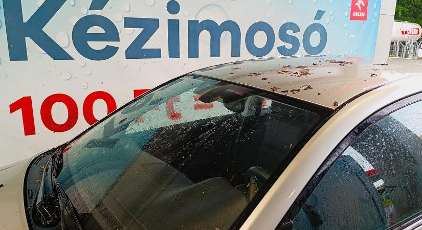Fröccsen az égből az autósok réme: csőre töltött a madársereg