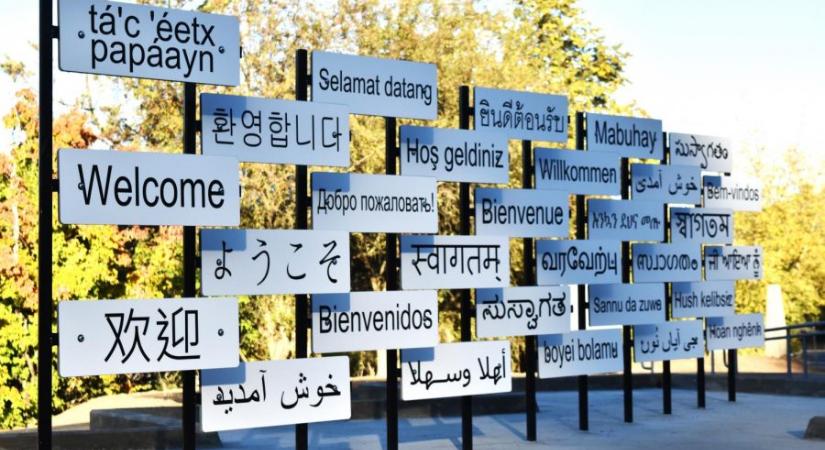 Kell-e nyelvérzék a nyelvtanuláshoz?