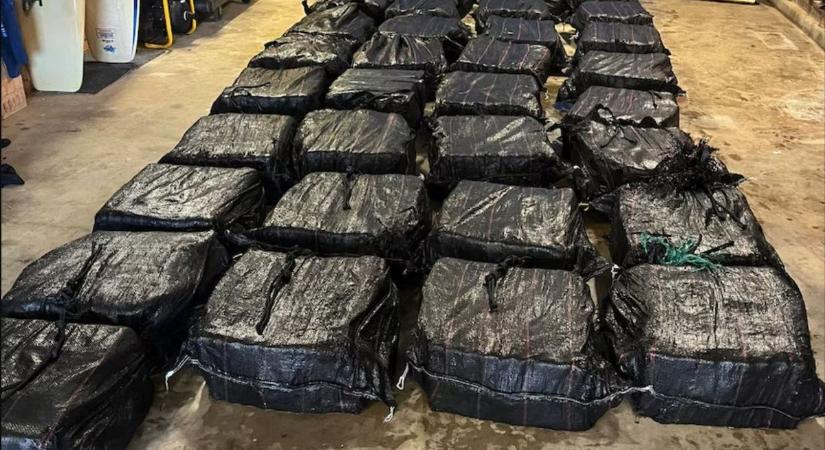 Több mint egy tonna kokaint foglaltak le egy razzia során