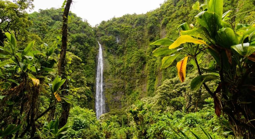 Hawaii a turizmussal fizetteti meg a környezetvédelmet