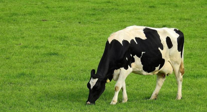 Járvány után - Óvatos enyhítés a korlátozáson kívüli területeken