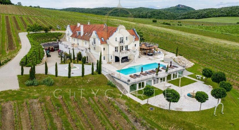 Öt és fél millióért a tiéd lehet egy francia borbirtok a Balatonnál