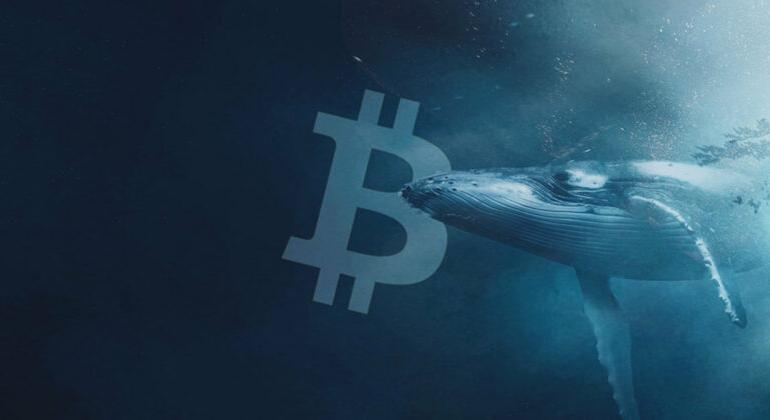 Több tízmilliárd forint értékű Bitcoint utalt egy ősi Bitcoin-bálna